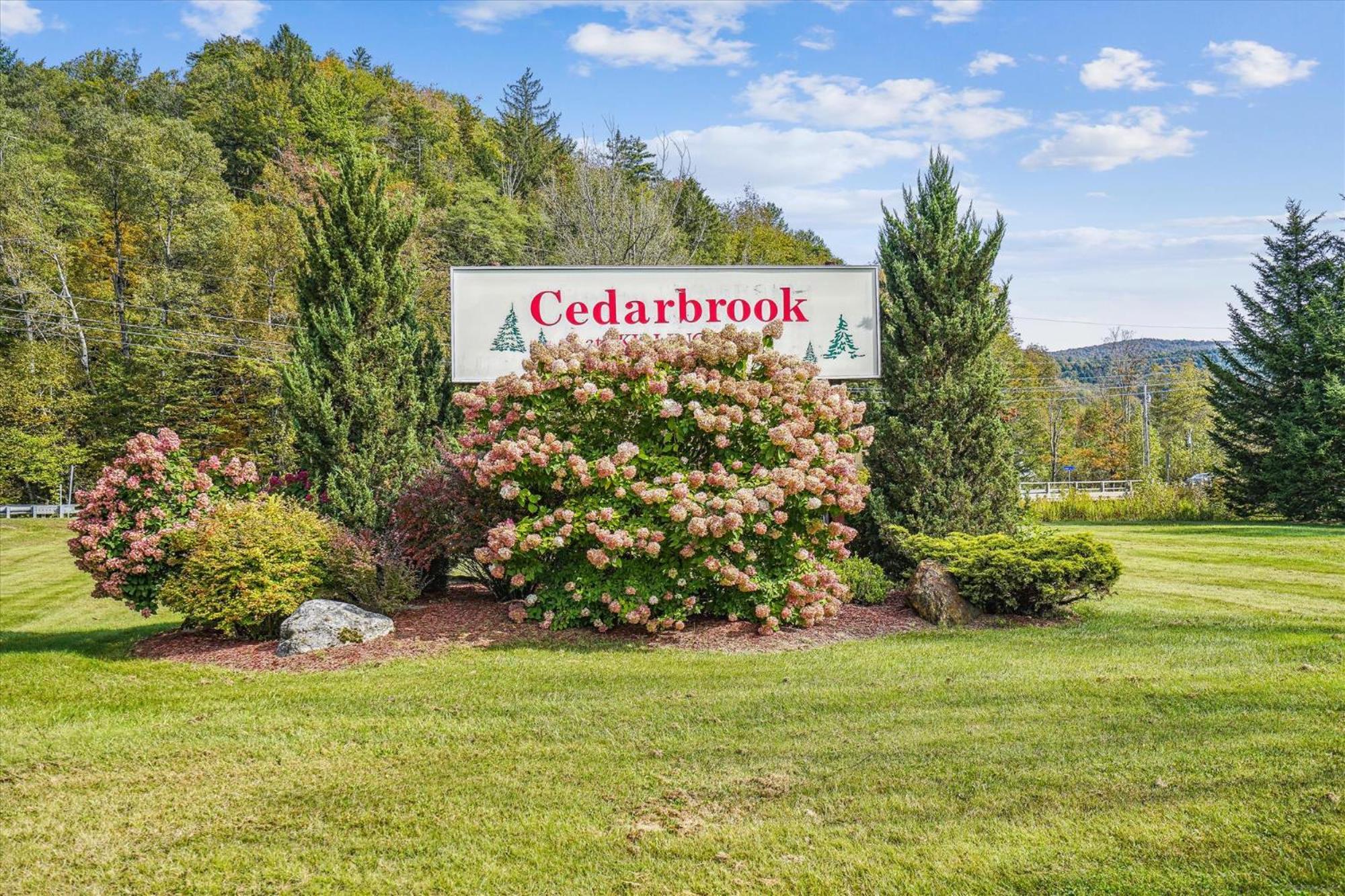 Cedarbrook Queen Suite 202 基灵顿 外观 照片